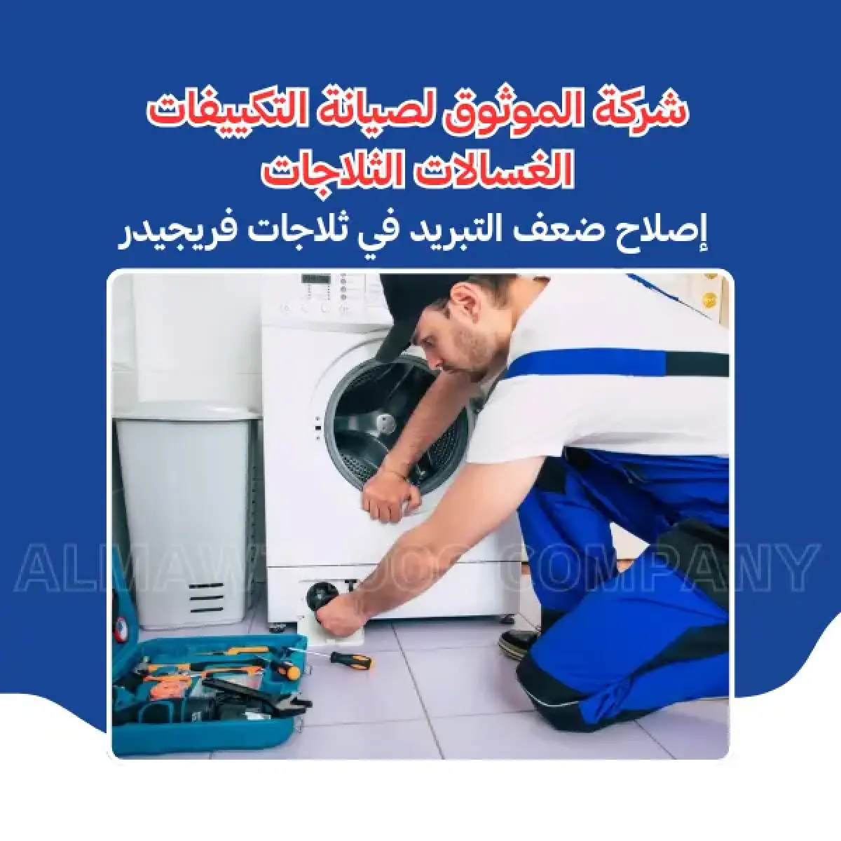 صورة من المعرض